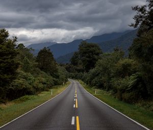 Preview wallpaper road, bushes, marking