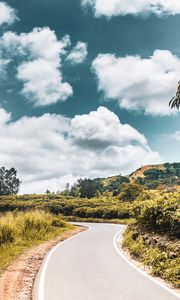 Preview wallpaper road, bushes, marking, winding