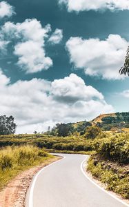 Preview wallpaper road, bushes, marking, winding