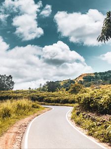 Preview wallpaper road, bushes, marking, winding