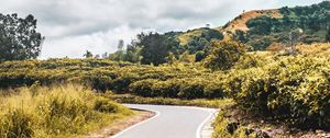 Preview wallpaper road, bushes, marking, winding