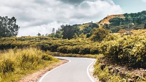 Preview wallpaper road, bushes, marking, winding