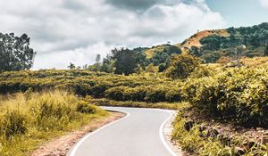 Preview wallpaper road, bushes, marking, winding