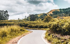 Preview wallpaper road, bushes, marking, winding