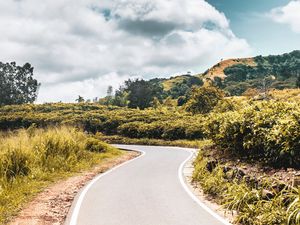 Preview wallpaper road, bushes, marking, winding
