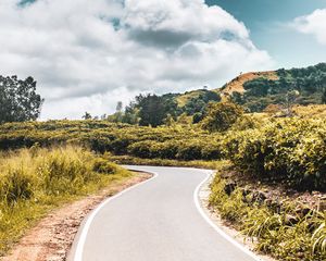 Preview wallpaper road, bushes, marking, winding