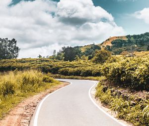 Preview wallpaper road, bushes, marking, winding