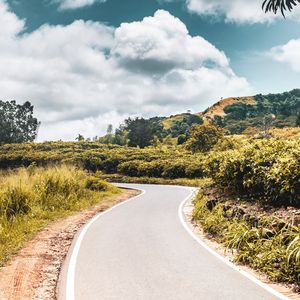 Preview wallpaper road, bushes, marking, winding