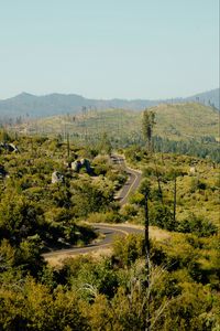 Preview wallpaper road, bushes, stones, hills, distance