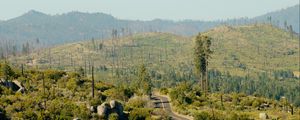 Preview wallpaper road, bushes, stones, hills, distance