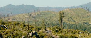 Preview wallpaper road, bushes, stones, hills, distance