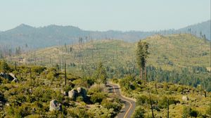 Preview wallpaper road, bushes, stones, hills, distance