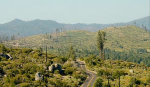 Preview wallpaper road, bushes, stones, hills, distance