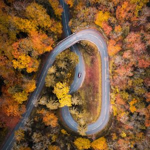 Preview wallpaper road, car, aerial view, trees, autumn