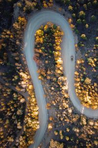 Preview wallpaper road, car, aerial view, trees, turn