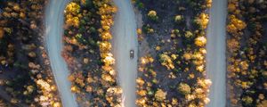Preview wallpaper road, car, aerial view, trees, turn