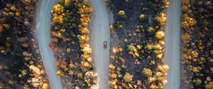 Preview wallpaper road, car, aerial view, trees, turn