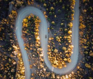 Preview wallpaper road, car, aerial view, trees, turn