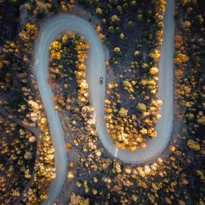 Preview wallpaper road, car, aerial view, trees, turn