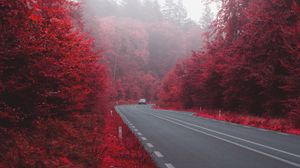 Preview wallpaper road, car, autumn, bushes, fog