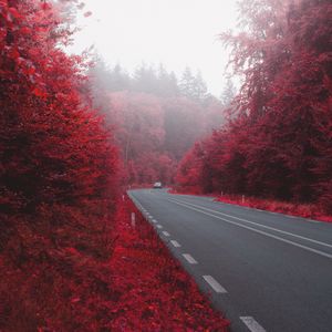 Preview wallpaper road, car, autumn, bushes, fog
