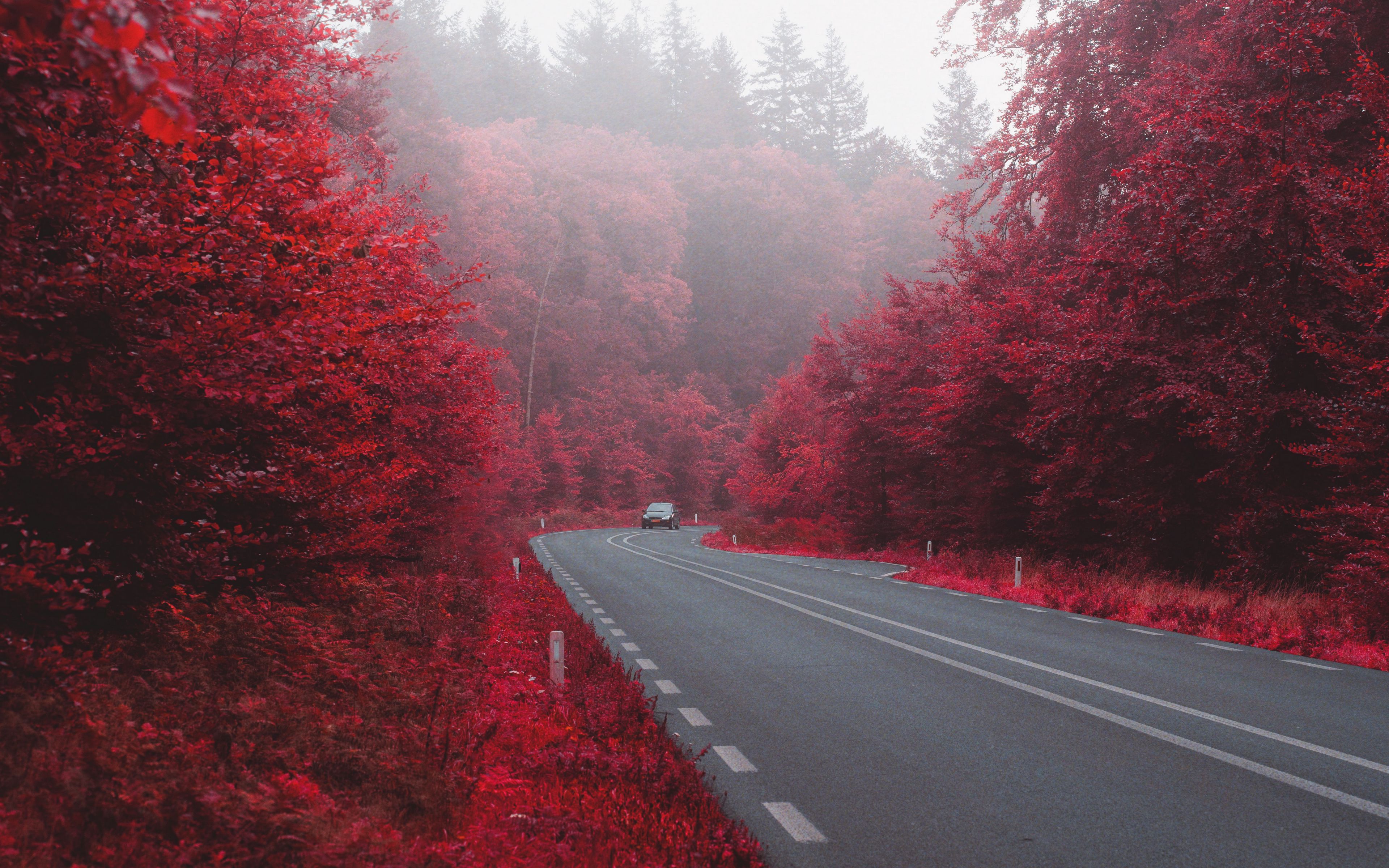 Download wallpaper 3840x2400 road, car, autumn, bushes, fog 4k ultra hd ...