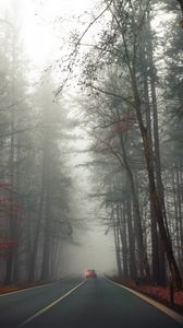 Preview wallpaper road, car, fog, trees