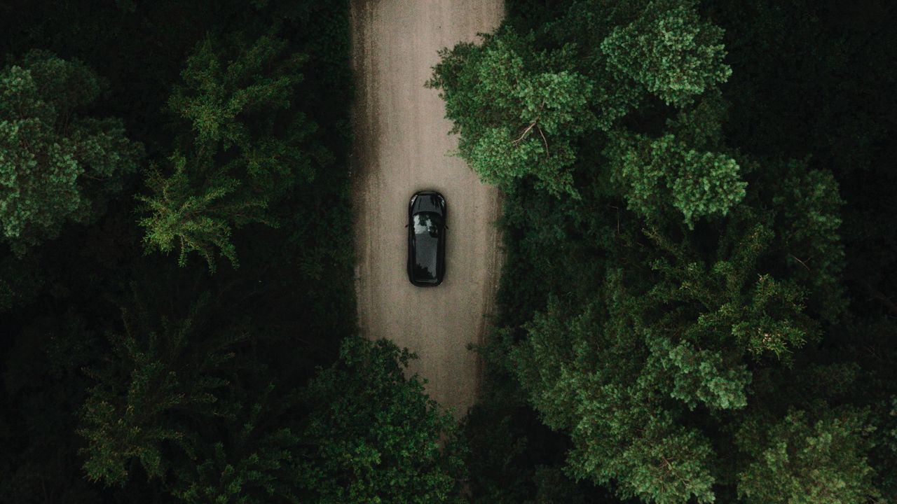 Wallpaper road, car, forest, aerial view, trees