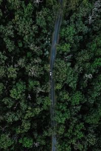 Preview wallpaper road, car, forest, aerial view