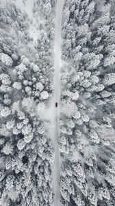 Preview wallpaper road, car, forest, snow, aerial view