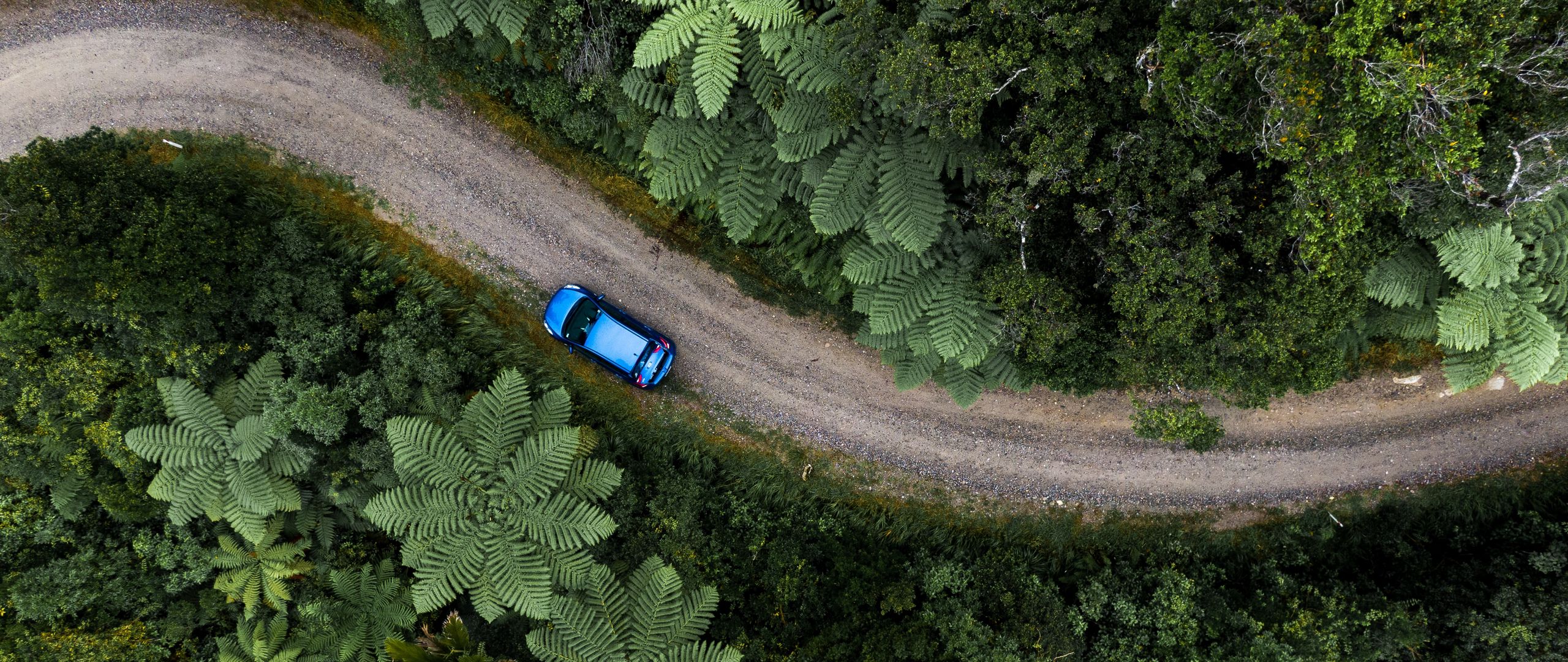 Download wallpaper 2560x1080 road, car, palm trees, aerial view dual