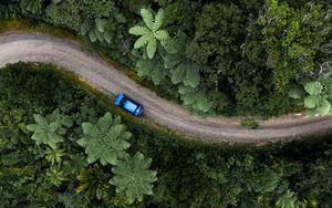 Preview wallpaper road, car, palm trees, aerial view