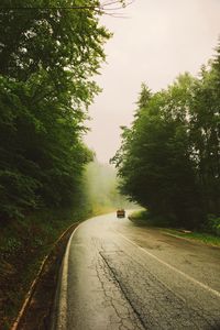 Preview wallpaper road, car, travel, forest, fog, nature