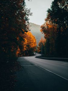 Preview wallpaper road, car, trees, fog