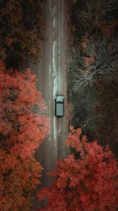 Preview wallpaper road, car, trees, aerial view