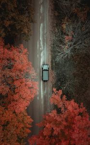 Preview wallpaper road, car, trees, aerial view