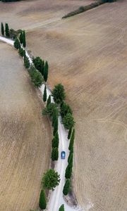 Preview wallpaper road, car, trees, fields