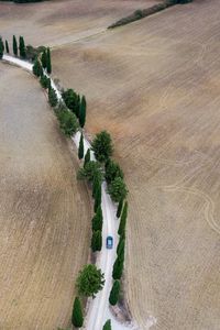 Preview wallpaper road, car, trees, fields