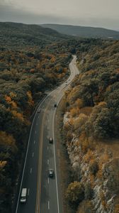 Preview wallpaper road, cars, forest, trees, autumn