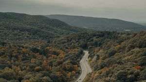 Preview wallpaper road, cars, forest, trees, autumn