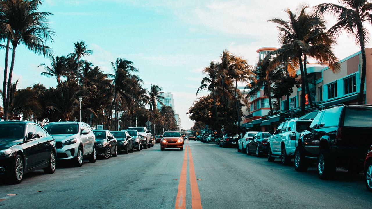 Wallpaper road, cars, markings, palm trees, sky