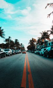 Preview wallpaper road, cars, markings, palm trees, sky