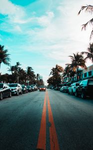 Preview wallpaper road, cars, markings, palm trees, sky