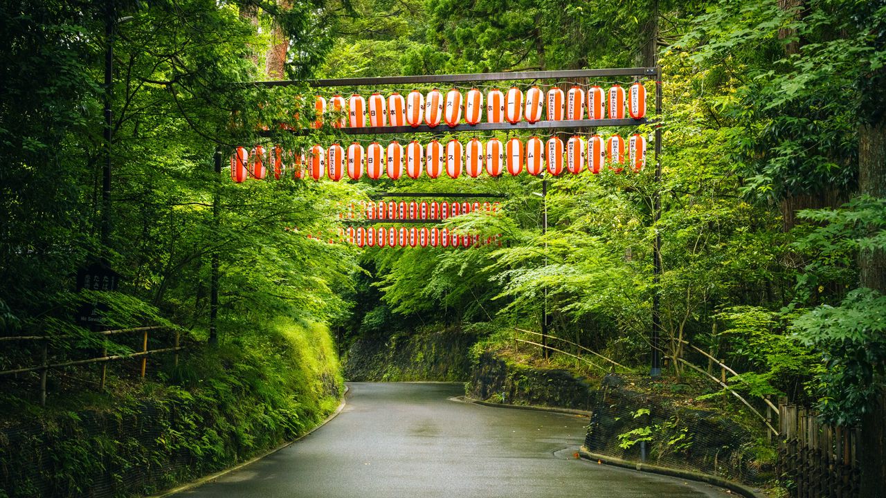 Wallpaper road, chinese lanterns, trees, landscape, nature