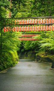 Preview wallpaper road, chinese lanterns, trees, landscape, nature