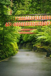 Preview wallpaper road, chinese lanterns, trees, landscape, nature