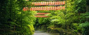 Preview wallpaper road, chinese lanterns, trees, landscape, nature