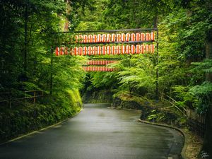 Preview wallpaper road, chinese lanterns, trees, landscape, nature