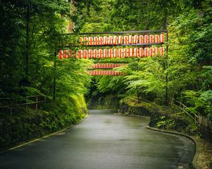 Preview wallpaper road, chinese lanterns, trees, landscape, nature