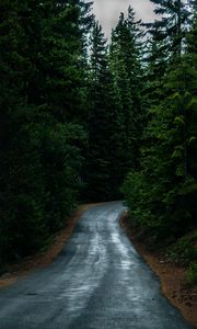 Preview wallpaper road, coniferous forest, dark, nature